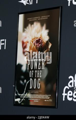 AFI Fest - The Power of the Dog LA Premiere im TCL Chinese Theatre IMAX am 11. November 2021 in Los Angeles, CA mit: Atmosphäre wo: Los Angeles, California, USA Wann: 12. November 2021 Credit: Nicky Nelson/WENN Stockfoto