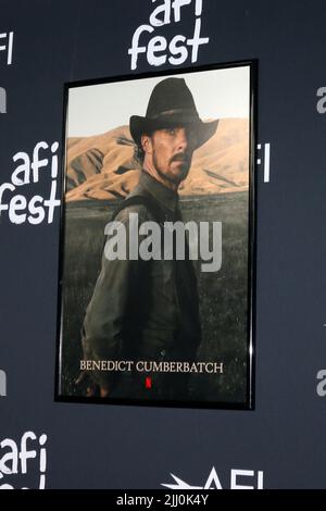 AFI Fest - The Power of the Dog LA Premiere im TCL Chinese Theatre IMAX am 11. November 2021 in Los Angeles, CA mit: Atmosphäre wo: Los Angeles, California, USA Wann: 12. November 2021 Credit: Nicky Nelson/WENN Stockfoto
