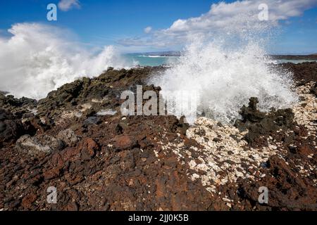 Krachende Brandung und ein Blowhole in La Perouse Bay auf South Maui. Rekordbrechende Wellen von bis zu 24 Fuß trafen am Juli die Südufer der Hawaii-Inseln. Stockfoto