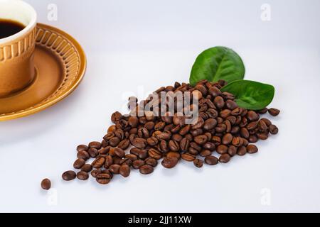 Gruppe Kaffeebohnen mit grünen Blättern und Tasse heißen, frisch gebrühten schwarzen Kaffee. Kaffeesorten und Blätter auf weißem Hintergrund mit Kopierfläche. Wählen Stockfoto