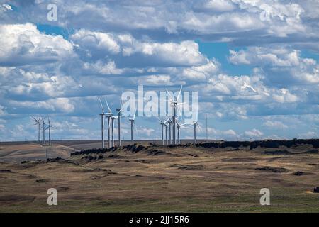 Windmühlen in Oregon entlang des Columbia River Stockfoto