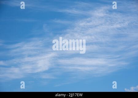 Blauer Himmel Hintergrund mit weißen flauschigen Cumulus Wolken. Panorama von weißen, flauschigen Wolken am blauen Himmel. Wunderschöner, riesiger blauer Himmel mit erstaunlichen verstreuten Stockfoto