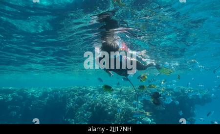 Frau in Tauchausrüstung schwimmt auf der Wasseroberfläche und schaut auf das Meeresleben. Eine Schnorchelerin schwimmt unter Wasser und schaut sich auf dem tropischen fis an Stockfoto