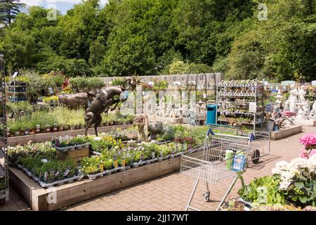 Nailsworth Garden Center, Gloucestershire, Großbritannien Stockfoto