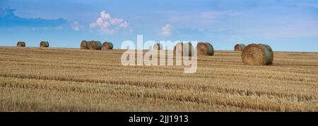 Sommerfeld mit Stroh, Erntezeit, Heu in Ballenrollen Stockfoto