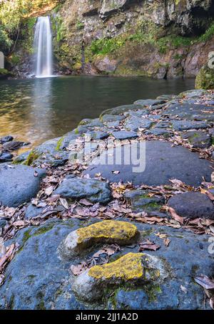 Zwei gelbe Schritte, die in den Stein vor dem Fall Todorokikyo gehauen wurden, umgeben von Felsen mit Herbstblättern entlang des Flusses Sakai von Taradake Pre Stockfoto