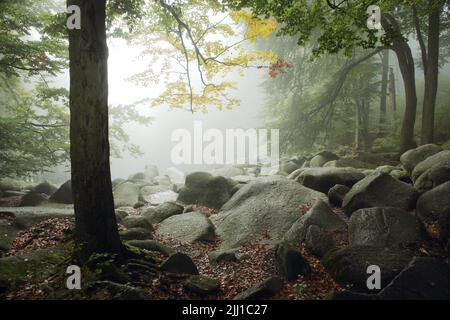 Nebel im Felsenmeer in Odenwald, Hessen, Deutschland Stockfoto