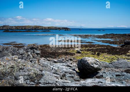 Teil der felsigen Küste um die Südspitze von Holy Island, Borthwen, Anglesey, Wales, Großbritannien Stockfoto