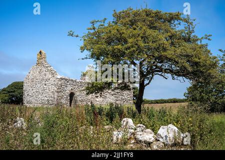 Die abgelegenen Überreste einer frühen (mittelalterlichen) keltischen Kirche in Lligwy, Moelfre, Anglesey, Wales, Großbritannien Stockfoto