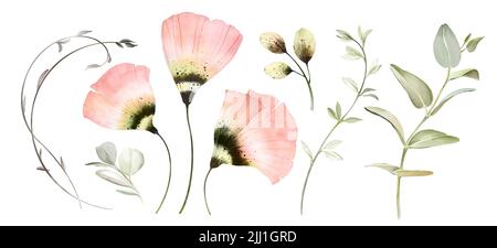 Set aus Aquarell-Poppy-Blumen. Sammlung von transparenten Blumen, Eukalyptus Zweig, Blätter isoliert auf weiß. Botanische abstrakte Designelemente für Stockfoto