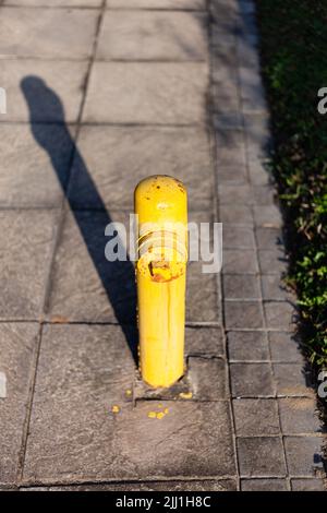 Ein gelber Hydrant auf einem Bürgersteig in Durban, Südafrika. Stockfoto