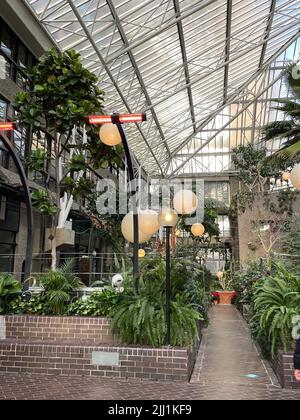 Eine vertikale Aufnahme einer runden Laterne, die Pflanzen in einem botanischen Garten aufhängt Stockfoto