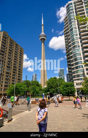 Frau mittleren Alters indischer Abstammung bewundert den CN Tower zwischen Hochhäusern in der Innenstadt von Toronto, Ontario, Kanada. Stockfoto