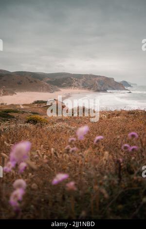 Der wunderschöne Strand von Praia do Amado an der westlichen Algarve an einem bewölkten Tag. Gruppen von Surfern füllen den rauen Ozean Stockfoto