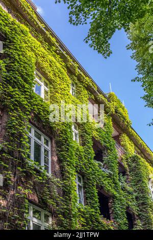 Apartmentgebäude mit grüner Fassade Stockfoto