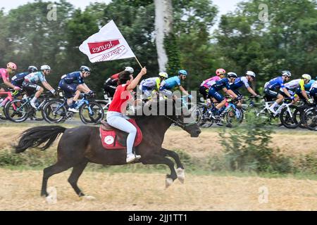 Cahors, Frankreich. 22.. Juli 2022. Das Reiterrudel, das während der Etappe 19 des Radrennens der Tour de France am Freitag, dem 22. Juli 2022, in Castelnaus-Magnoac - Cahors (189km), Frankreich, in Aktion gezeigt wurde. Die diesjährige Tour de France findet vom 01. Bis 24. Juli 2022 statt. BELGA FOTO DAVID STOCKMAN - UK OUT Credit: Belga News Agency/Alamy Live News Stockfoto