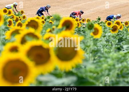 Cahors, Frankreich. 22.. Juli 2022. Der Niederländer Taco van der Hoorn von Intermarche Wanty-Gobert materiaux, US Quinn Simmons von Trek-Segafredo, der Slowene Matej Mohoric von Bahrain der siegreiche und Däne Mikkel Frolich Honore von Quick-Step Alpha Vinyl, abgebildet in Aktion während der Etappe 19 des Radrennens der Tour de France, von Castelnau-Magnoac - Cahors (189km), Frankreich, Am Freitag, den 22. Juli 2022. Die diesjährige Tour de France findet vom 01. Bis 24. Juli 2022 statt. BELGA FOTO DAVID STOCKMAN - UK OUT Credit: Belga News Agency/Alamy Live News Stockfoto