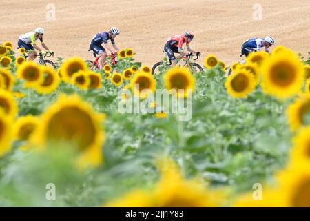 Cahors, Frankreich. 22.. Juli 2022. Der Niederländer Taco van der Hoorn von Intermarche Wanty-Gobert materiaux, US Quinn Simmons von Trek-Segafredo, der Slowene Matej Mohoric von Bahrain der siegreiche und Däne Mikkel Frolich Honore von Quick-Step Alpha Vinyl, abgebildet in Aktion während der Etappe 19 des Radrennens der Tour de France, von Castelnau-Magnoac - Cahors (189km), Frankreich, Am Freitag, den 22. Juli 2022. Die diesjährige Tour de France findet vom 01. Bis 24. Juli 2022 statt. BELGA FOTO DAVID STOCKMAN - UK OUT Credit: Belga News Agency/Alamy Live News Stockfoto