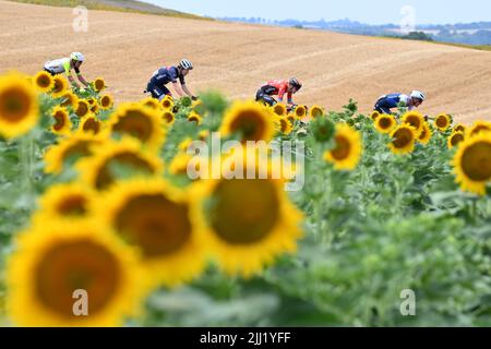 Cahors, Frankreich. 22.. Juli 2022. Eine allgemeine Ansicht als Mikkel Honore aus Dänemark und Quick-Step Alpha Vinyl Team, Matej Mohoric aus Slowenien und Team Bahrain siegten, Quinn Simmons aus den USA und das Team Trek-Segafredo und Taco van der Hoorn aus den Niederlanden sowie das Team Intermarche-Wanty-Gobert Materialaux machen Fortschritte in der Vorgruppe während der Etappe 19 der Tour De France, Castelnau-Magnoac bis Cahors. Kredit: David Stockman/Godingimages/Alamy Live Nachrichten Stockfoto