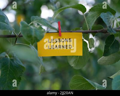Eine Papiernotiz mit den Worten Lessons Learned darauf, die an einem Baum mit einer Kleidernadel befestigt ist. Nahaufnahme. Stockfoto