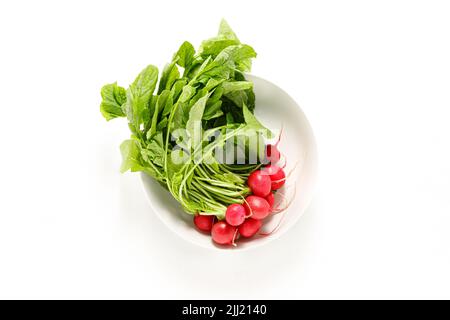 Frischer roher Bio-Rettichstrauß mit Rettichgrün Stockfoto