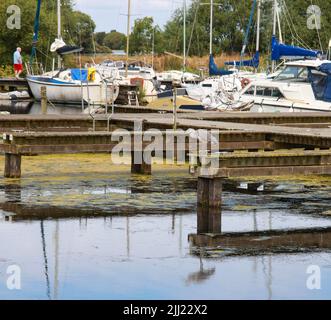 Kinnego Marina, Lough Neagh, County Armagh, Nordirland, Großbritannien. 22. Juli 2022. Britisches Wetter – nach einem hellen Start breiten sich nun mehr Wolken über Nord-Irland aus, bevor es morgen eine atlantische Wetterfront und Regen gibt. Die Temperaturen bleiben in oder um die 20C-Marke.Ein Reiher, der auf einem Bootssteg angeln kann. Kredit: CAZIMB/Alamy Live Nachrichten. Stockfoto