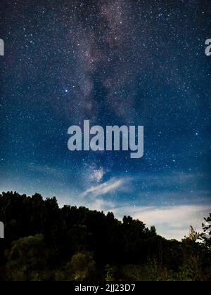 Eine natürliche Landschaft bei Nacht. Die Milchstraßengalaxie und viele Sterne am Himmel über dem Wald, vertikales Foto Stockfoto