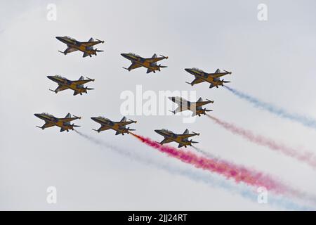 Die 53. Air Demonstration Group, die den Spitznamen Black Eagles trägt. Seit 2010 fliegen sie acht kai T-50B Golden Eagle Supersonic Advanced Trainer Jets. Die Flugzeuge sind in den Farben Schwarz, Gelb und Weiß lackiert. Stockfoto