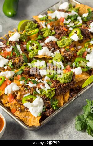 Hausgemachtes mexikanisches geschreddertes Rindfleisch Nachos mit Gaucamole und Sour Cream Stockfoto