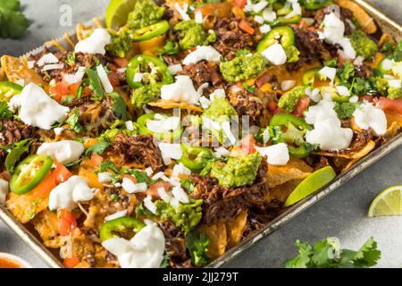 Hausgemachtes mexikanisches geschreddertes Rindfleisch Nachos mit Gaucamole und Sour Cream Stockfoto