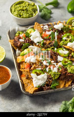 Hausgemachtes mexikanisches geschreddertes Rindfleisch Nachos mit Gaucamole und Sour Cream Stockfoto