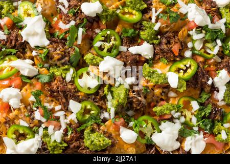 Hausgemachtes mexikanisches geschreddertes Rindfleisch Nachos mit Gaucamole und Sour Cream Stockfoto