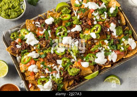 Hausgemachtes mexikanisches geschreddertes Rindfleisch Nachos mit Gaucamole und Sour Cream Stockfoto