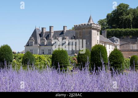 Chateau de Villandry im Loire-Tal. Foto aus dem Ziergarten mit lila russischen Salbei Perovskia Blumen im Vordergrund. Stockfoto