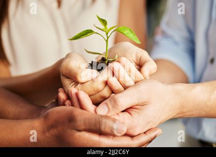 Unsere Ziele können nur durch einen Plan erreicht werden. Eine Gruppe von Menschen, die eine Pflanze halten. Stockfoto