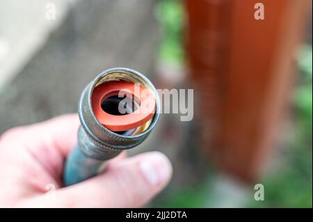 Die neue Gummidichtung wird in einer Innenverbindung des Gartenschlauchs ausgetauscht, um eine wasserdichte Kupplung zu haben. Stockfoto