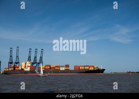 Eine kleine Yacht, die Spinnaker neben einem riesigen Containerschiff fliegt, das Felixstowe verlässt, dockt Suffolk England an Stockfoto