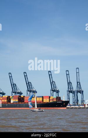 Kleine Yacht, die Spinnaker neben einem riesigen Containerschiff msc veracruz fliegt und Felixstowe verlässt, dockt Suffolk England an Stockfoto