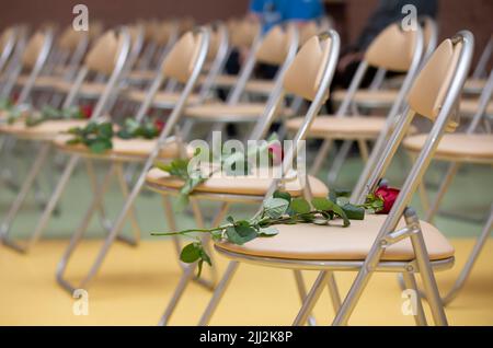 Rote Rosen liegen auf leeren Stühlen. Stuhlreihe mit Blumen. Stockfoto