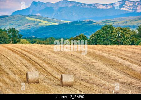 Nach der Ernte von Weizen, Roggen oder Gerste wurden runde Strohballen auf landwirtschaftlichen Weiden und Getreideflächen gerollt. Blick auf die Landschaft der Berge Stockfoto