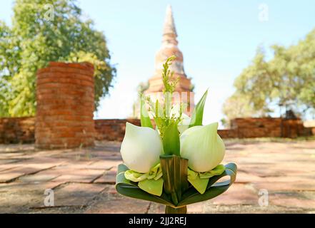 Nahaufnahme ein Blumenstrauß aus Lotusblumen für die Darbringung mit verschwommener alter Pagode der Ruinen des Wat Phra Ngam Tempels im Hintergrund, Ayutthaya, Thailand Stockfoto