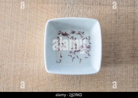 Getrocknete rote, tote Brennnessel, lamium purpureum. Frische Blumen, rosa Blütenblätter auf einem Küchentisch in einem weißen Becher. Handgepflückte Blumen, medizinisch Stockfoto