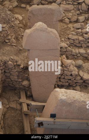 Gobekli Tepe die Zeit Null der Menschheit. Die Tiere von Gobekli Tepe Sanliurfa Türkei Stockfoto