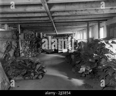 Neue Skofabriks ab Örnen, Innenausstattung aus dem Oberschulgeschäft. Stockfoto