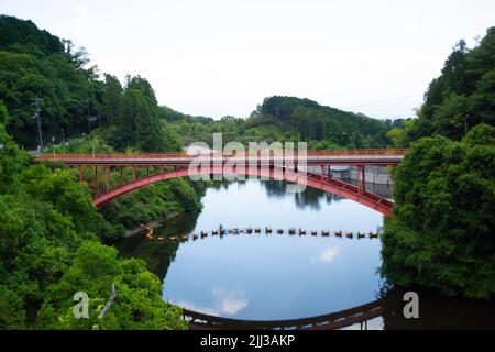Brücke über den Fluss im grünen Regenwald in Japan im Sommer. Stockfoto