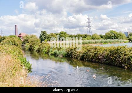 Coppermill Stream im Sommer auf Walthamstow Wetlands, London, Stockfoto