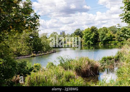 Stausee in Walthamstow Wetlands, London, England Stockfoto