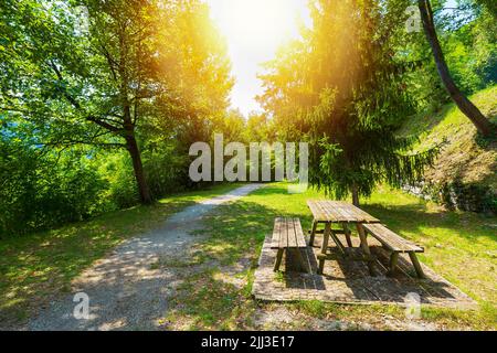 Picknick Tisch neben den Pfad in einem grünen Wald, Sommer, Sunflare Wirkung verwendet Stockfoto