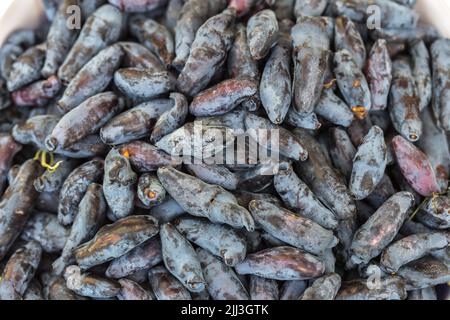 Frische blaue Geißblatt, auch als Honigbeere bekannt, ein Hintergrund von blauen Beeren mit grünen Blättern. Modische Tönung. Stockfoto