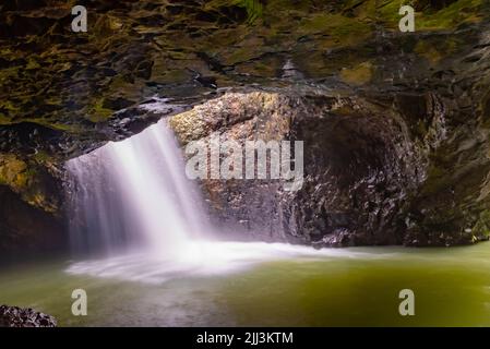 Natural Bridge im Springbrook National Park mit Wasserfall. Stockfoto
